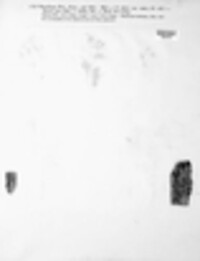 Therrya pini image